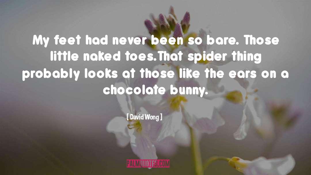 David Wong Quotes: My feet had never been