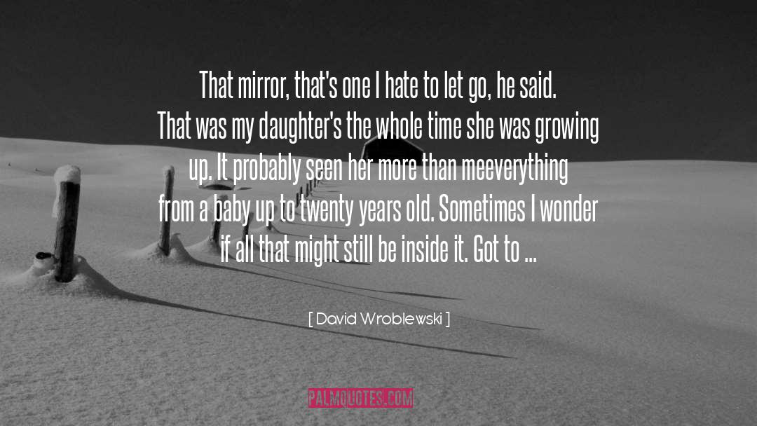 David Wroblewski Quotes: That mirror, that's one I