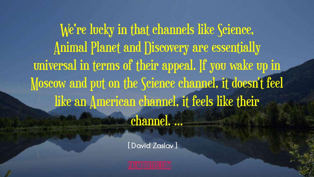 David Zaslav Quotes: We're lucky in that channels
