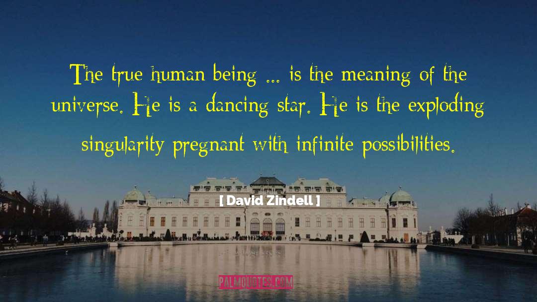 David Zindell Quotes: The true human being ...