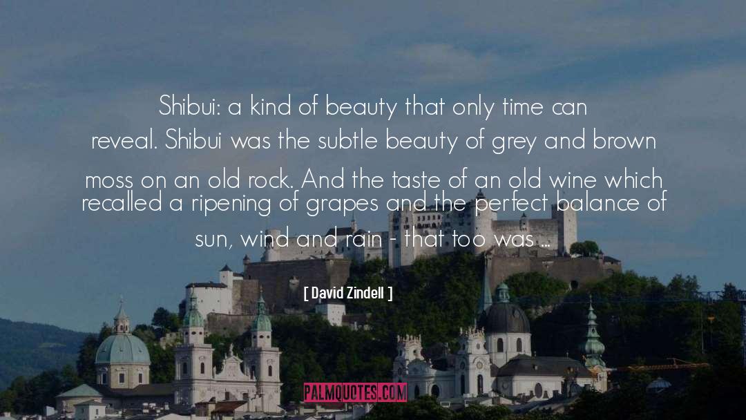 David Zindell Quotes: Shibui: a kind of beauty