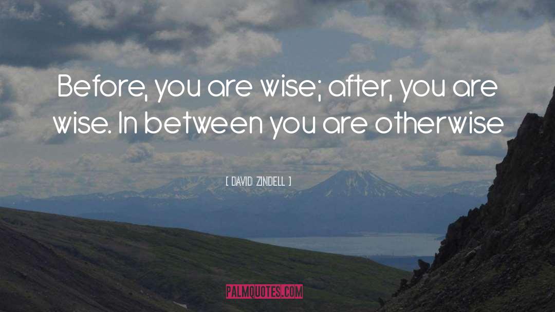 David Zindell Quotes: Before, you are wise; after,