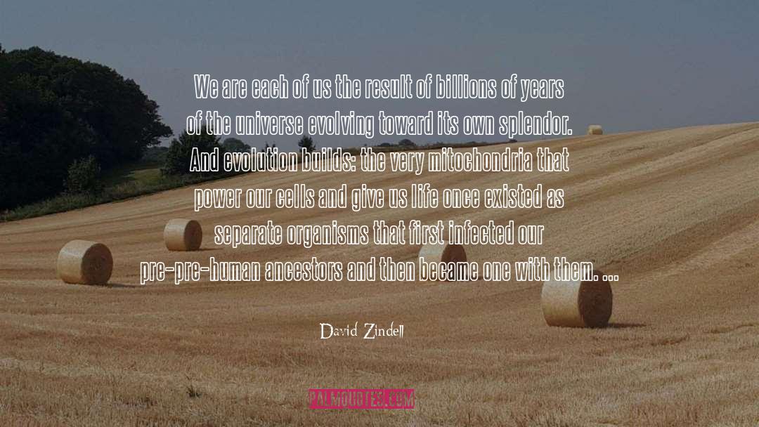 David Zindell Quotes: We are each of us