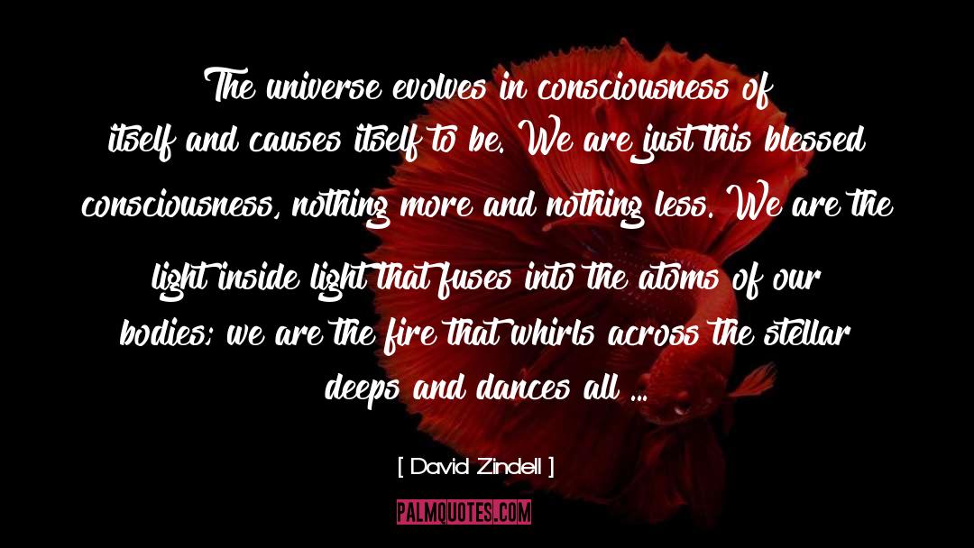 David Zindell Quotes: The universe evolves in consciousness