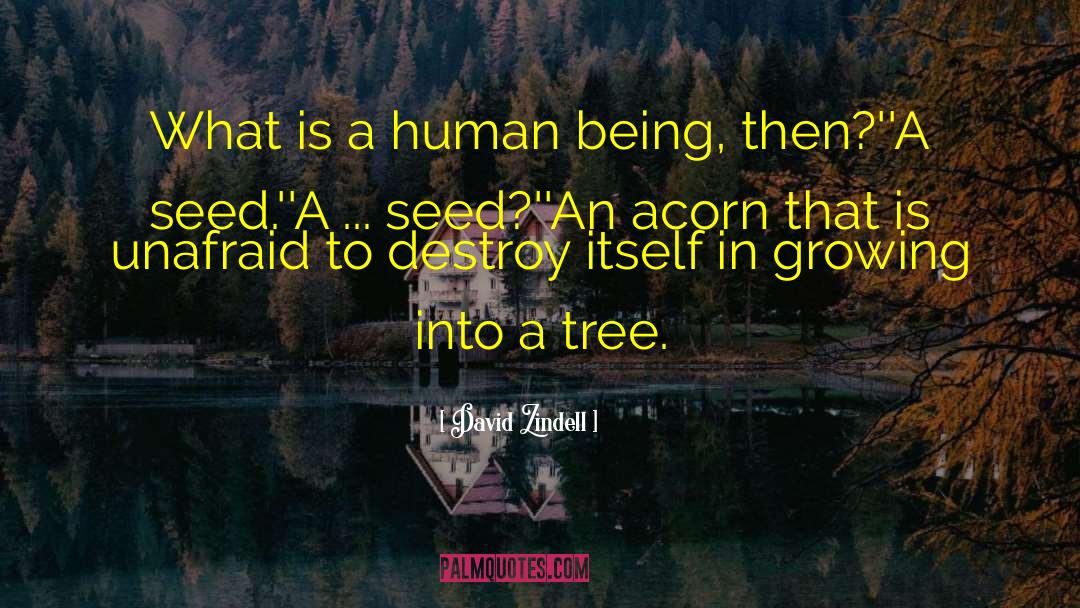 David Zindell Quotes: What is a human being,