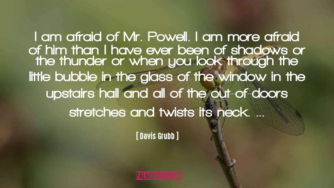 Davis Grubb Quotes: I am afraid of Mr.
