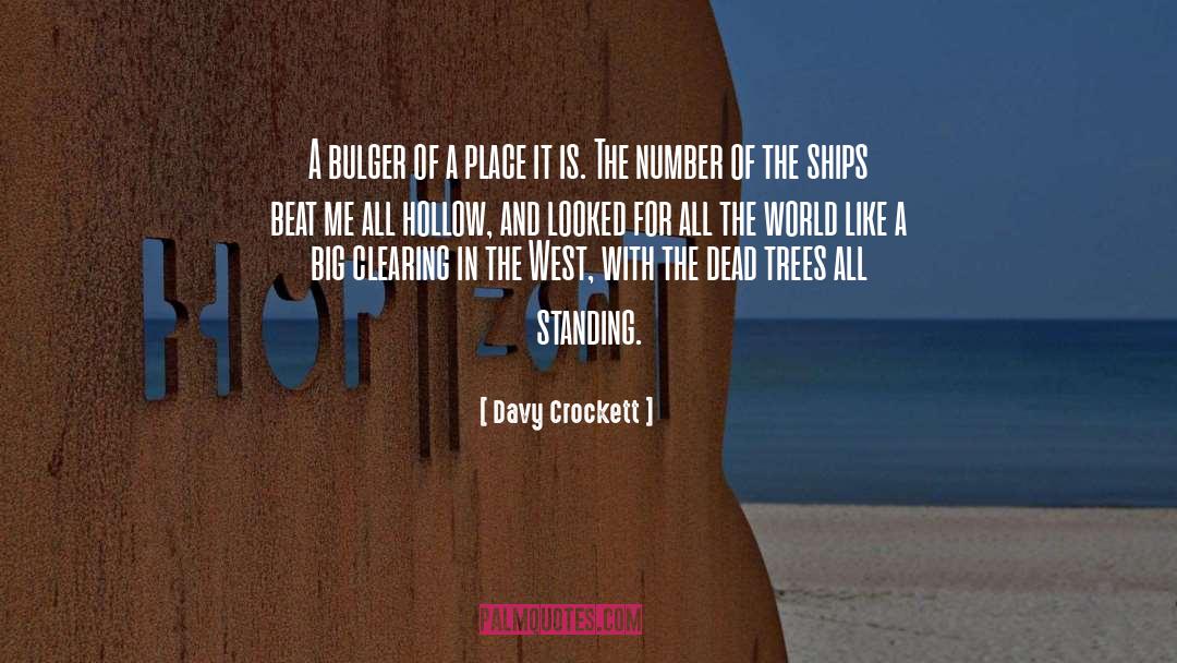 Davy Crockett Quotes: A bulger of a place