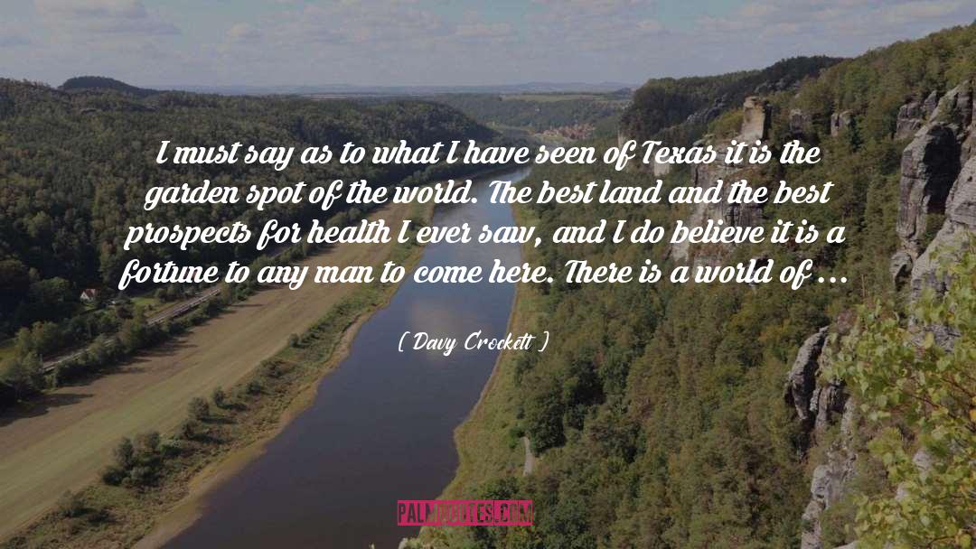 Davy Crockett Quotes: I must say as to