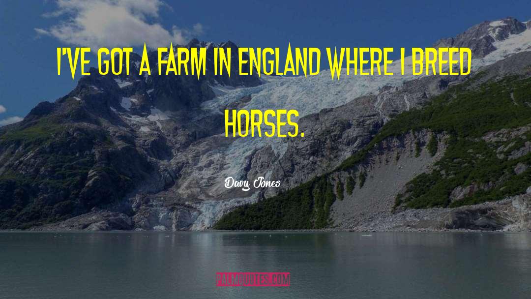 Davy Jones Quotes: I've got a farm in