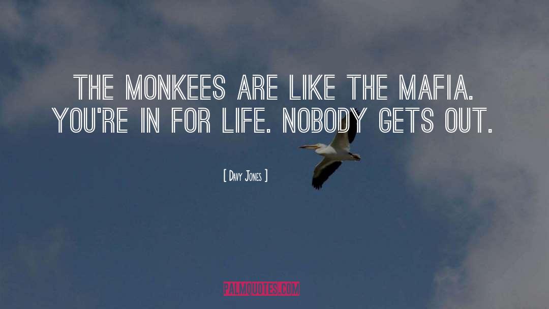 Davy Jones Quotes: The Monkees are like the