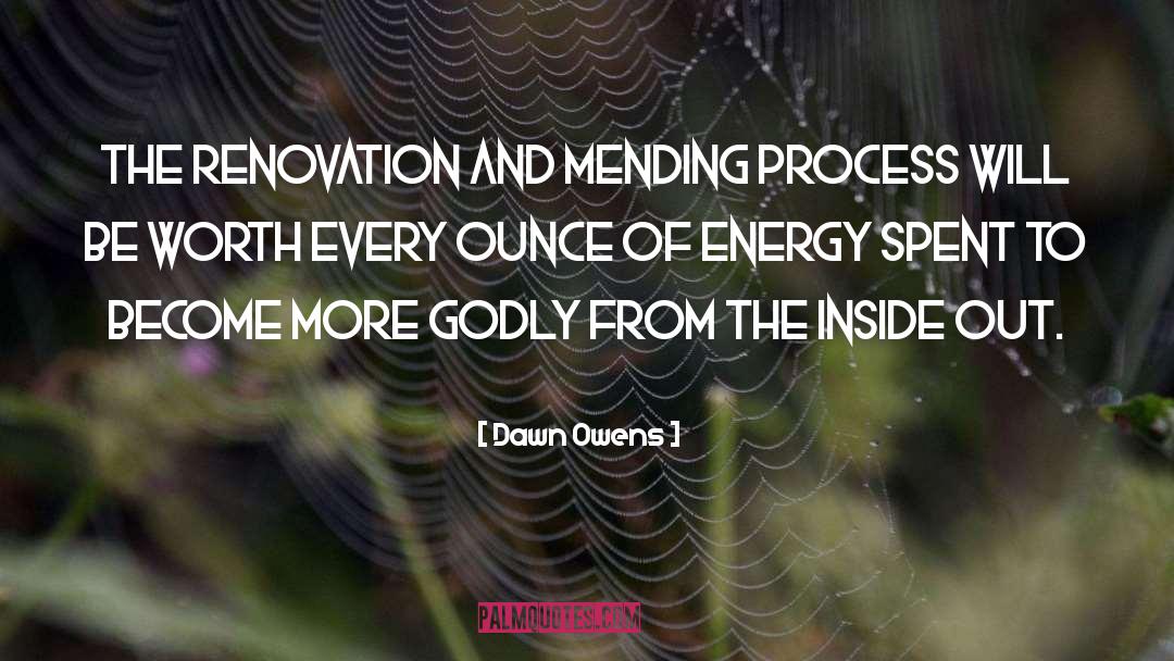 Dawn Owens Quotes: The renovation and mending process