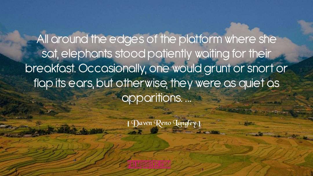 Dawn Reno Langley Quotes: All around the edges of