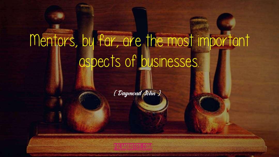 Daymond John Quotes: Mentors, by far, are the