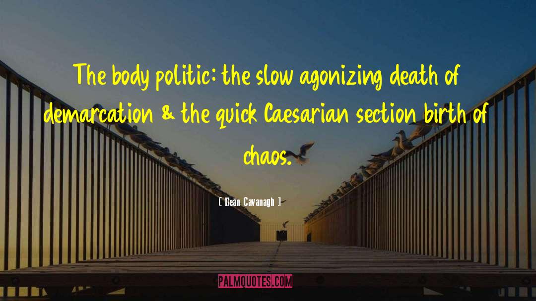 Dean Cavanagh Quotes: The body politic: the slow