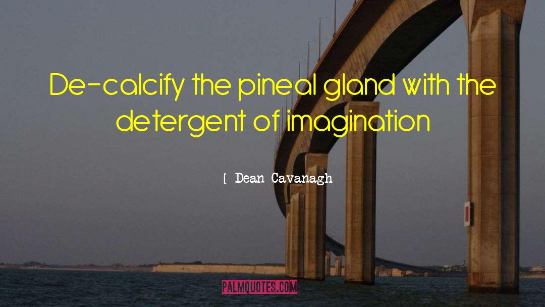 Dean Cavanagh Quotes: De-calcify the pineal gland with