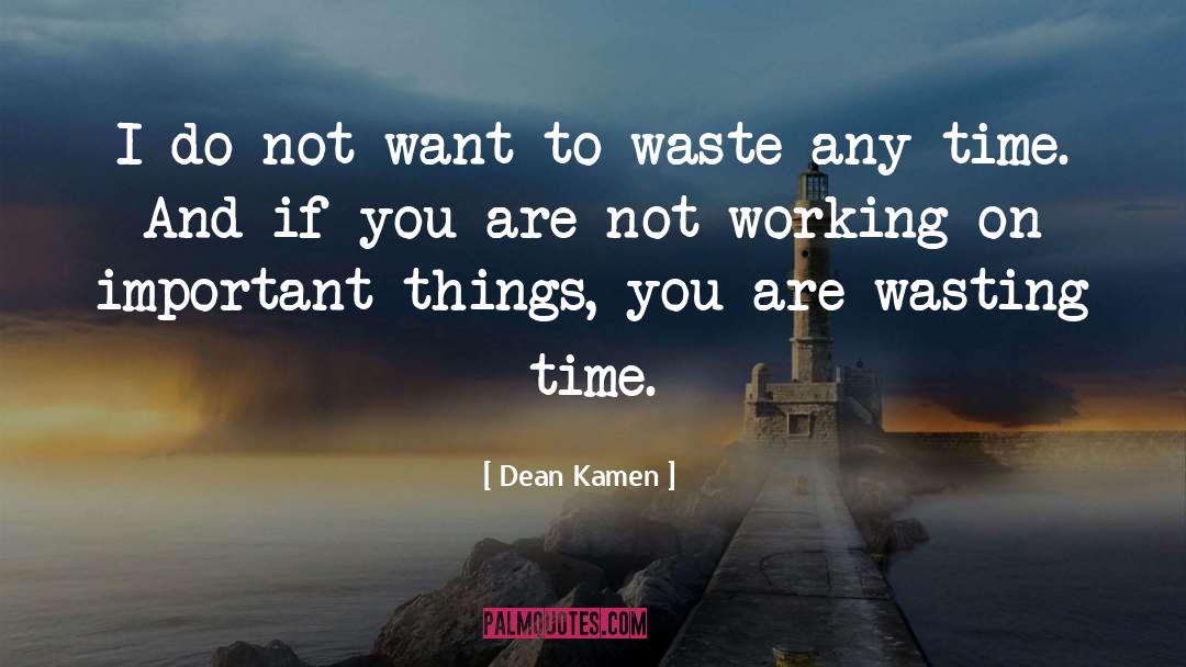 Dean Kamen Quotes: I do not want to