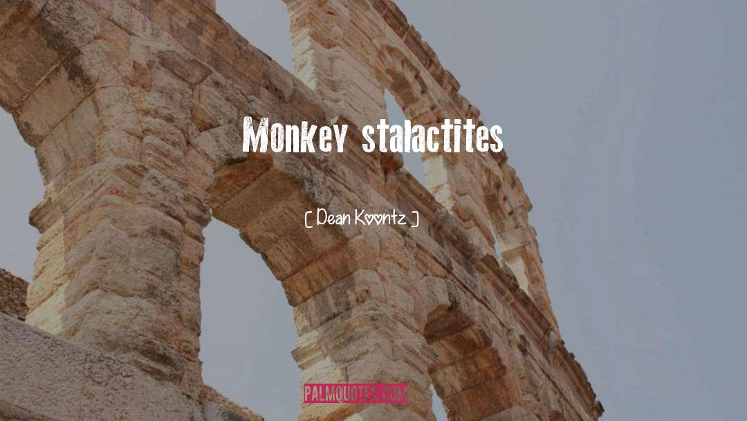 Dean Koontz Quotes: Monkey stalactites