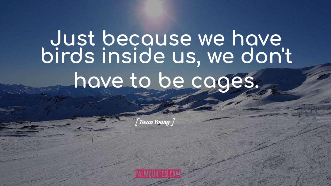 Dean Young Quotes: Just because we have birds