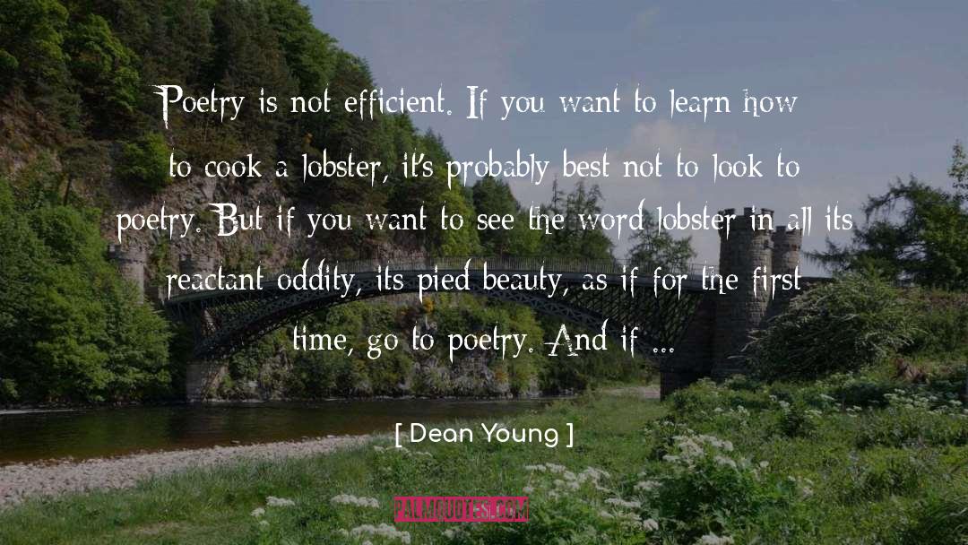 Dean Young Quotes: Poetry is not efficient. If