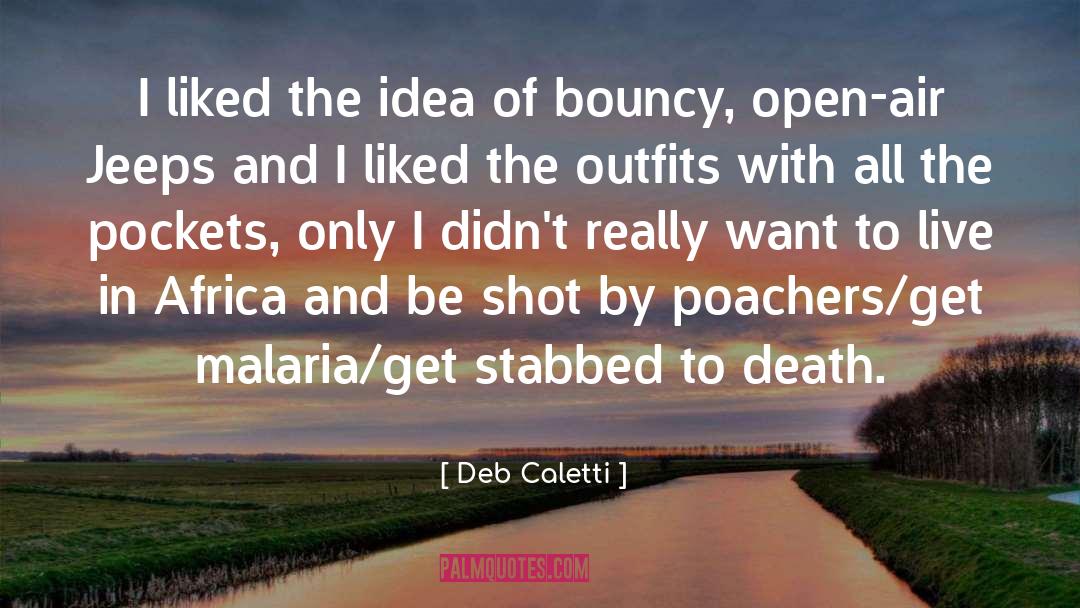 Deb Caletti Quotes: I liked the idea of
