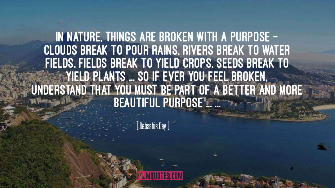 Debashis Dey Quotes: In Nature, things are broken