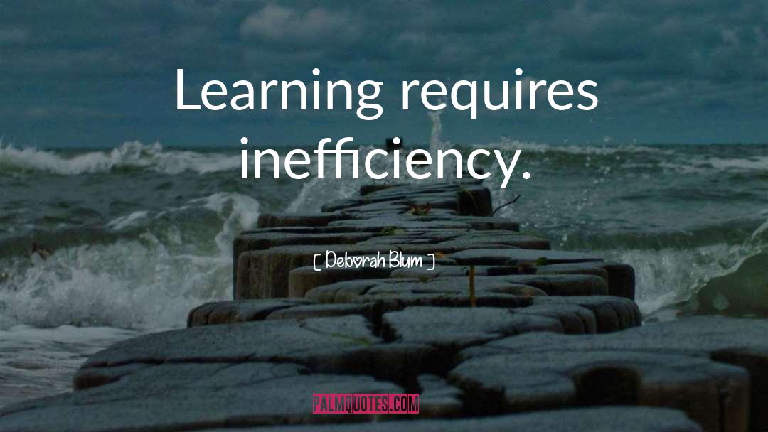 Deborah Blum Quotes: Learning requires inefficiency.