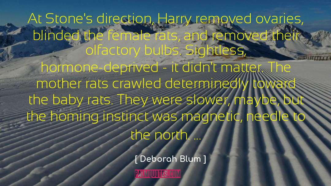 Deborah Blum Quotes: At Stone's direction, Harry removed