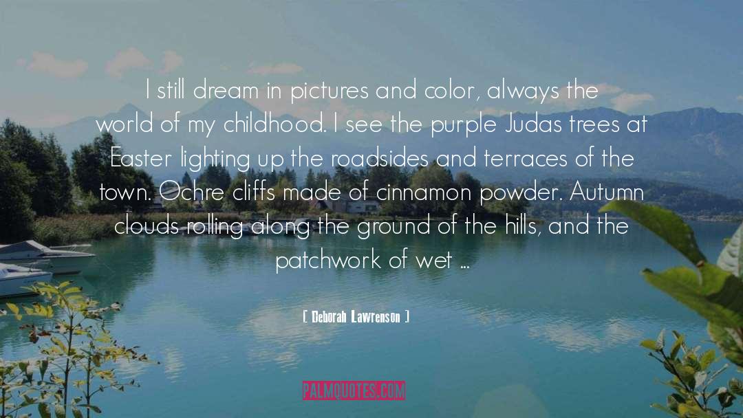 Deborah Lawrenson Quotes: I still dream in pictures