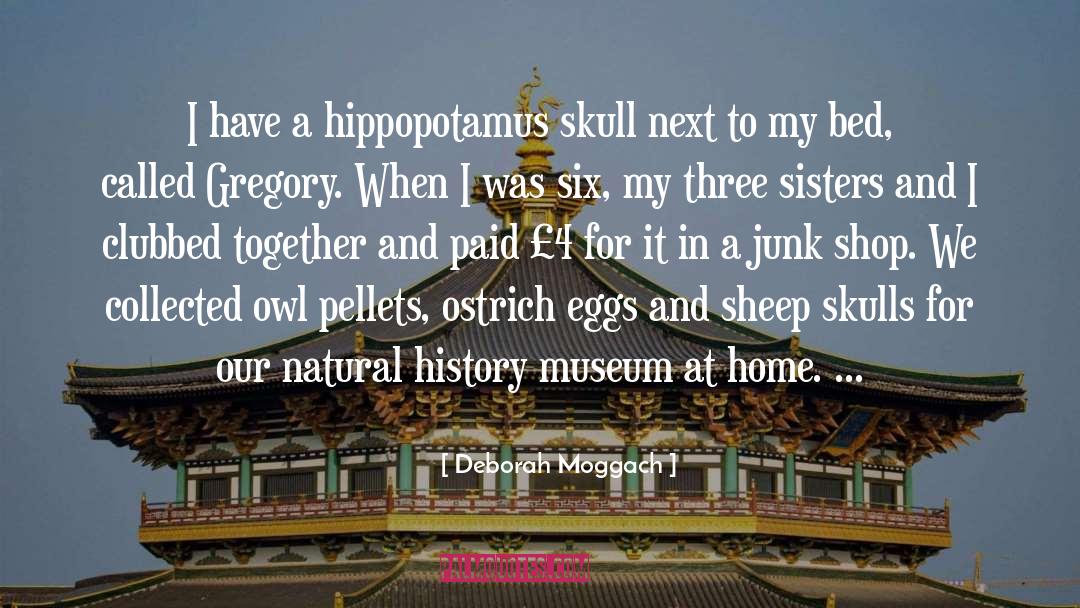 Deborah Moggach Quotes: I have a hippopotamus skull