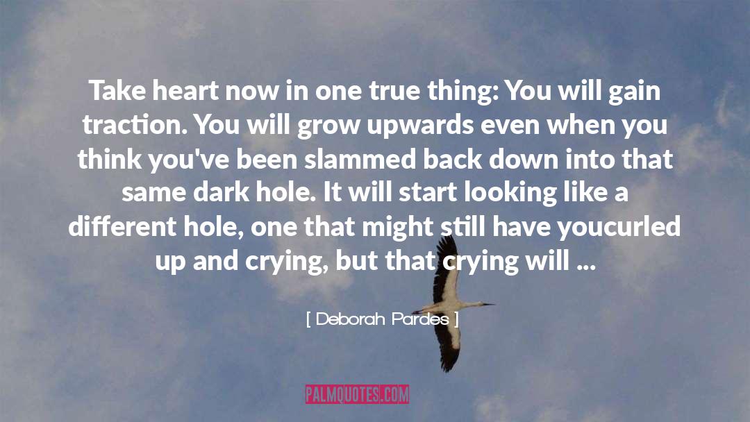 Deborah Pardes Quotes: Take heart now in one