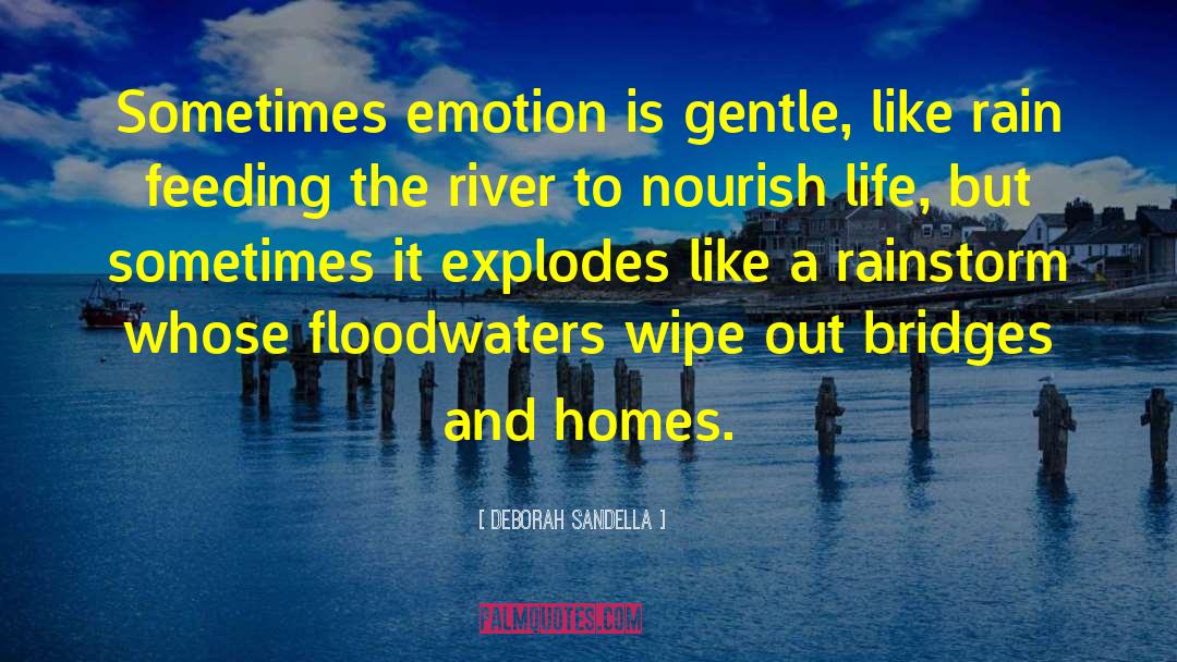 Deborah Sandella Quotes: Sometimes emotion is gentle, like