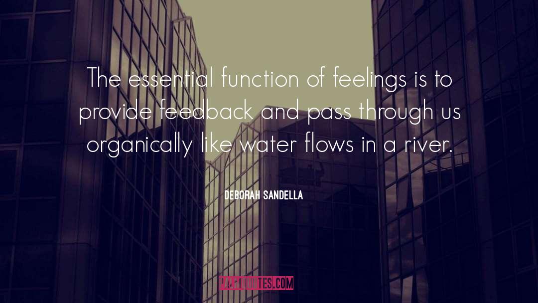Deborah Sandella Quotes: The essential function of feelings