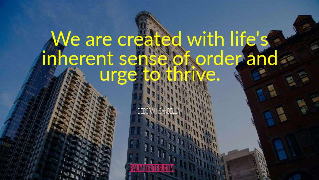 Deborah Sandella Quotes: We are created with life's