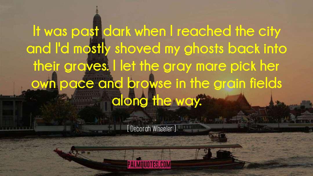 Deborah Wheeler Quotes: It was past dark when
