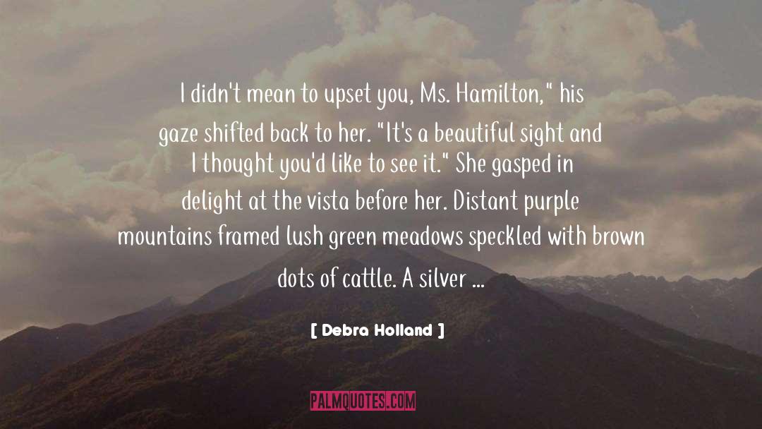 Debra Holland Quotes: I didn't mean to upset