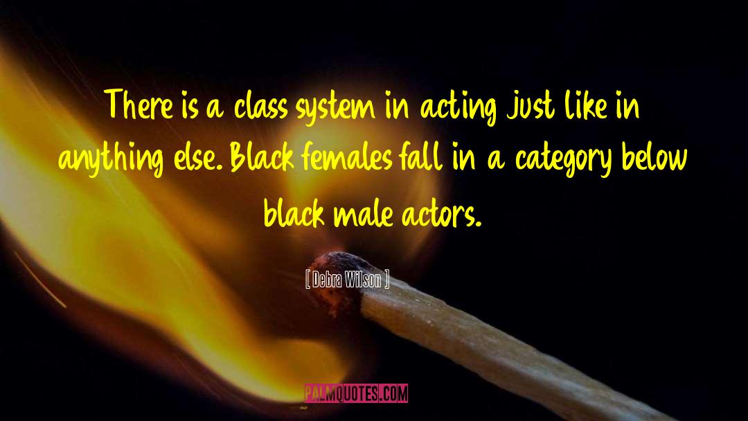 Debra Wilson Quotes: There is a class system