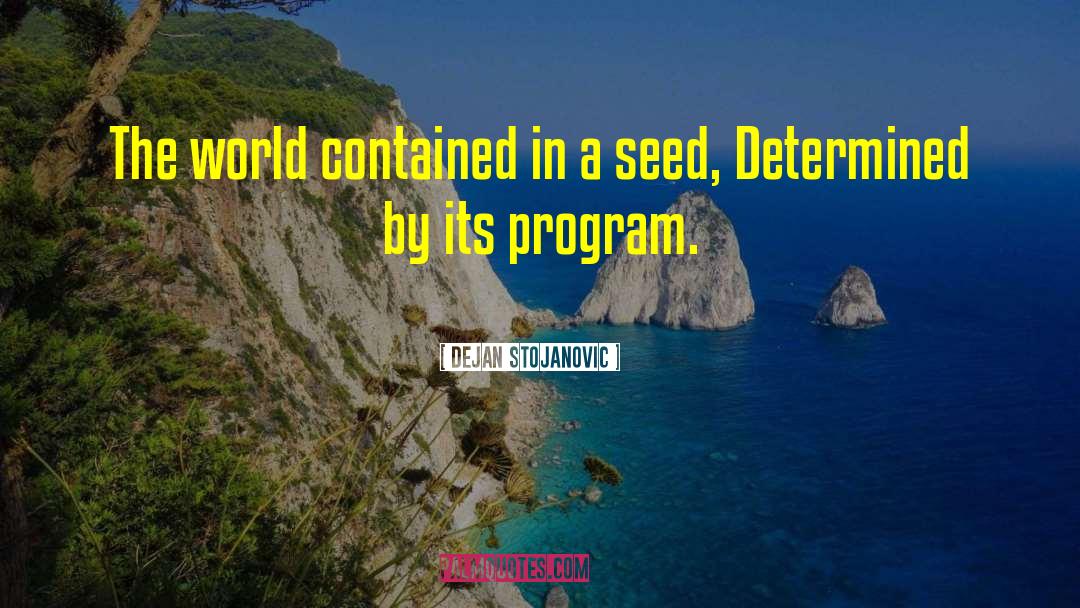 Dejan Stojanovic Quotes: The world contained in a