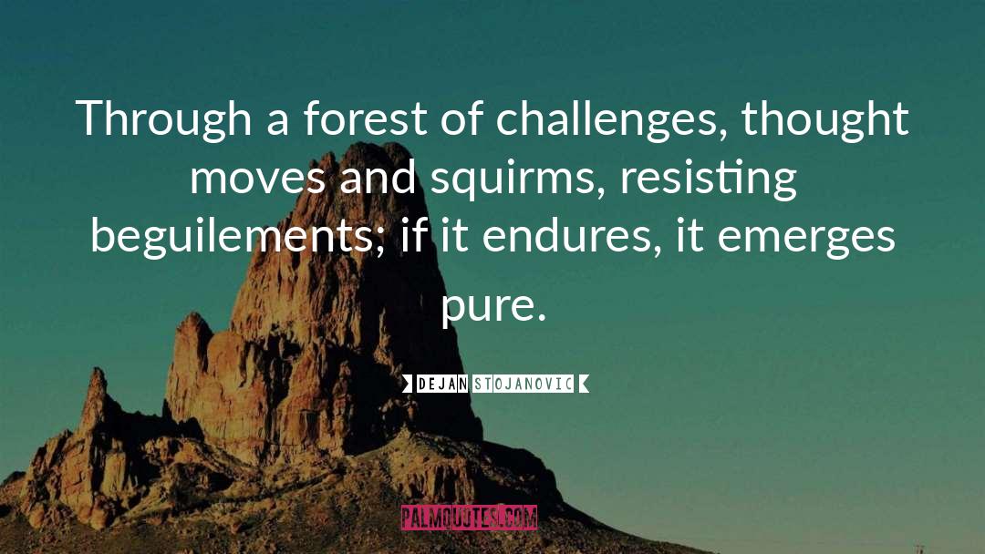 Dejan Stojanovic Quotes: Through a forest of challenges,