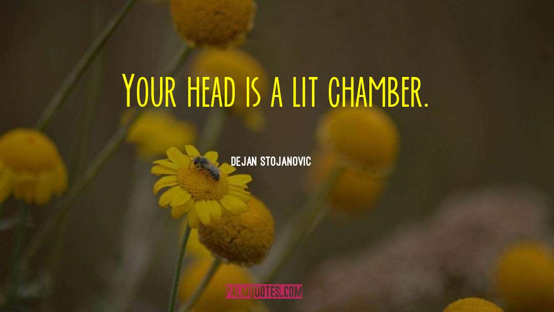 Dejan Stojanovic Quotes: Your head is a lit