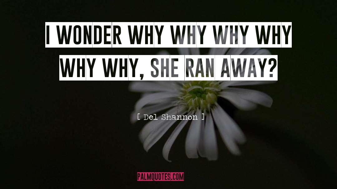 Del Shannon Quotes: I wonder why why why
