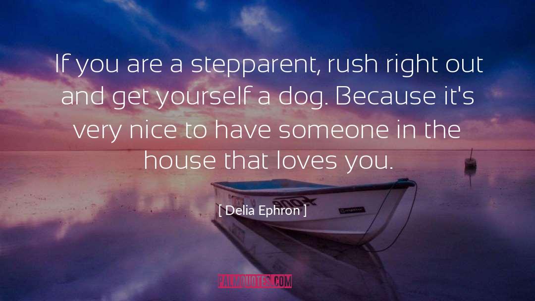 Delia Ephron Quotes: If you are a stepparent,