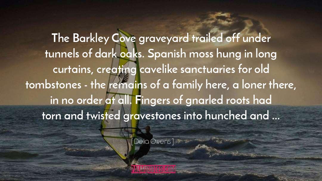 Delia Owens Quotes: The Barkley Cove graveyard trailed