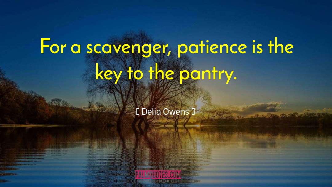 Delia Owens Quotes: For a scavenger, patience is