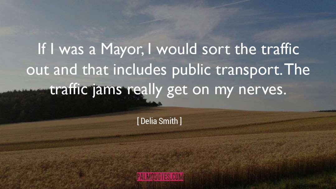 Delia Smith Quotes: If I was a Mayor,