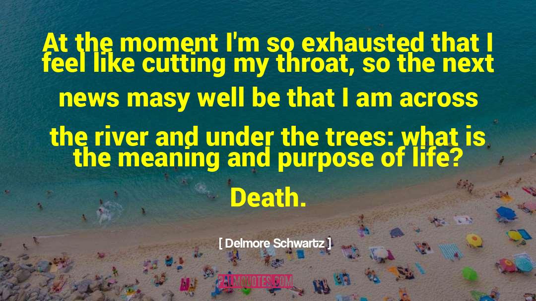 Delmore Schwartz Quotes: At the moment I'm so