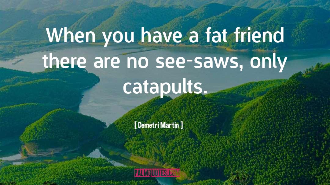 Demetri Martin Quotes: When you have a fat