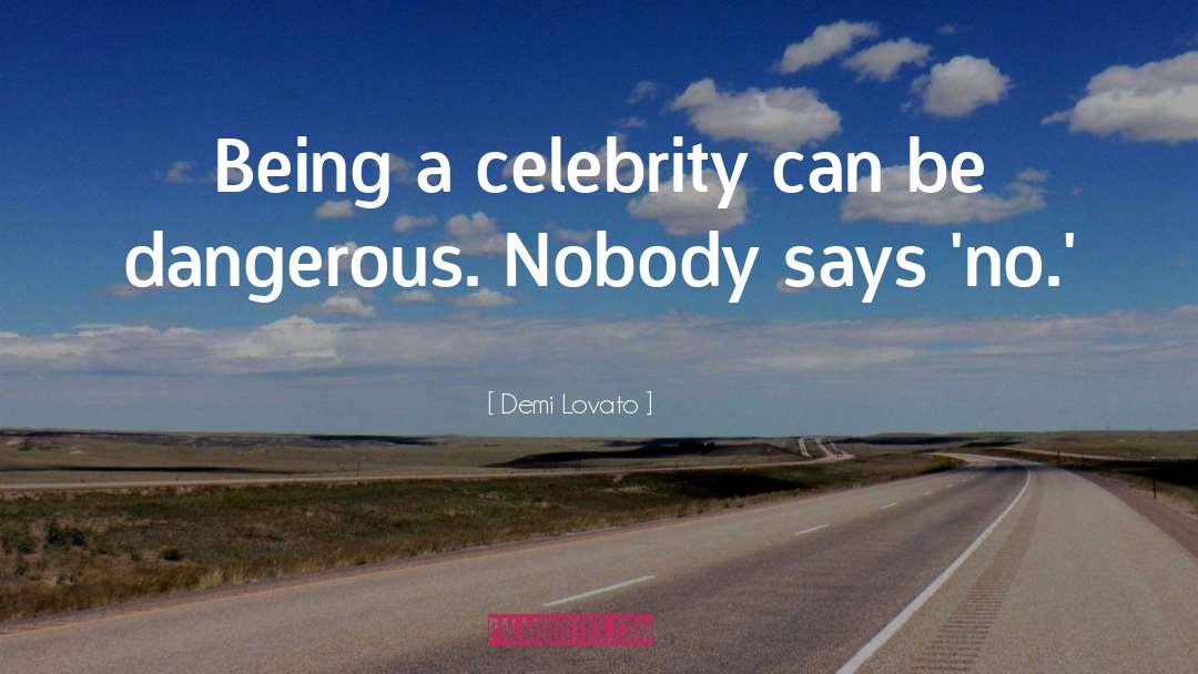 Demi Lovato Quotes: Being a celebrity can be