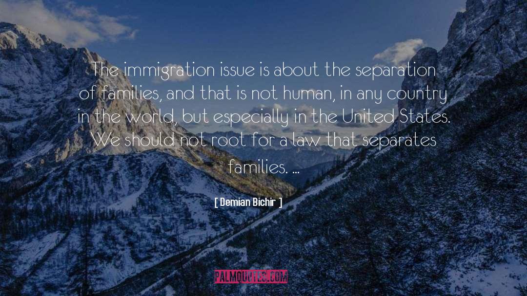 Demian Bichir Quotes: The immigration issue is about