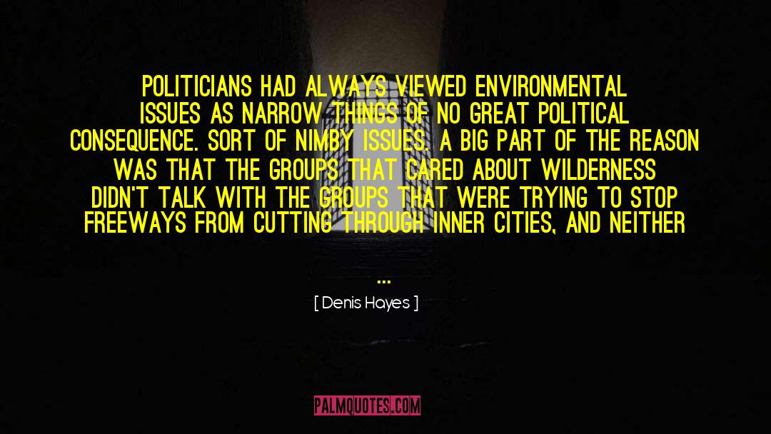 Denis Hayes Quotes: Politicians had always viewed environmental