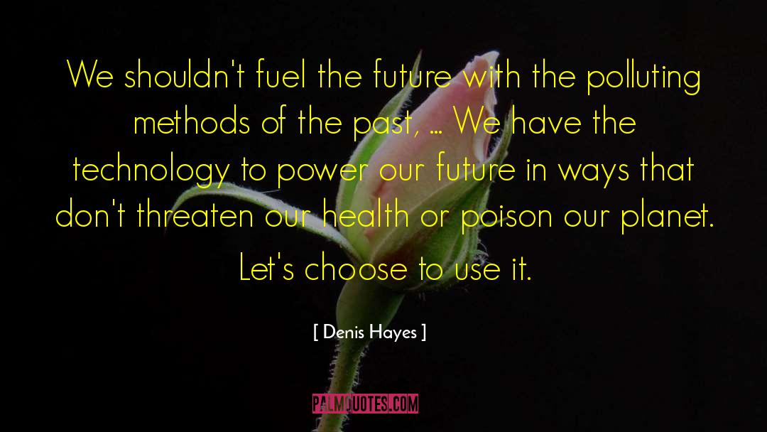 Denis Hayes Quotes: We shouldn't fuel the future